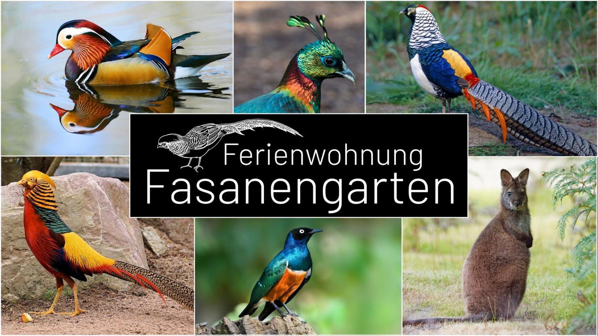 Fasanengarten In Traunreut Ngoại thất bức ảnh